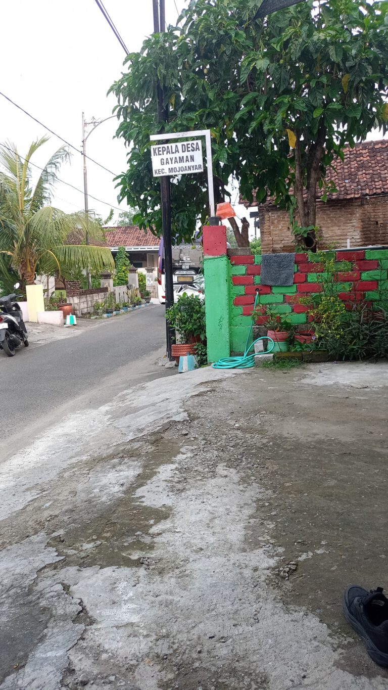 WhatsApp Image 2025-12-06 at 17.45.57 (1)